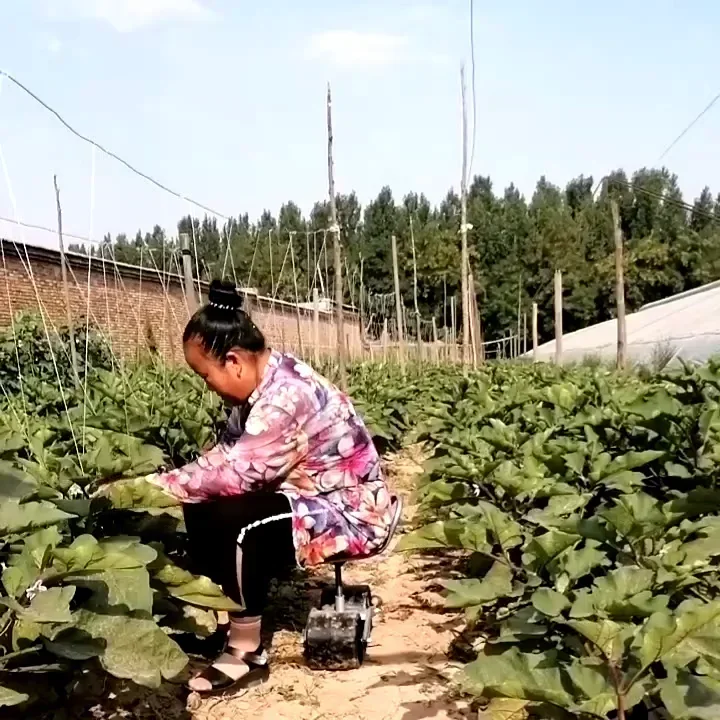 360 Degree Greenhouse Lazy Ben - đánh giá và giá Agriculture Farming Degree