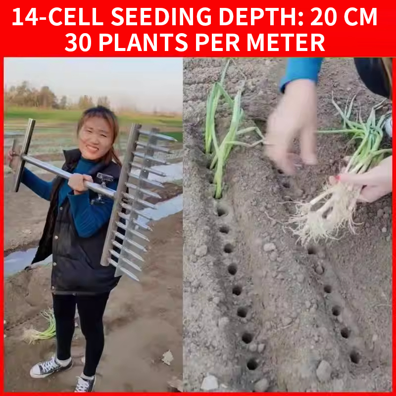 Onion Planter, Rice Transplant - đánh giá và giá Vegetable Transplanter