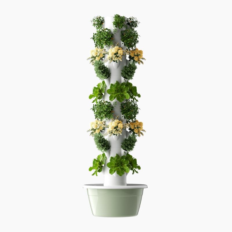 Vertical Hydroponic Grow Tower - đánh giá và giá Vegetable Transplanter